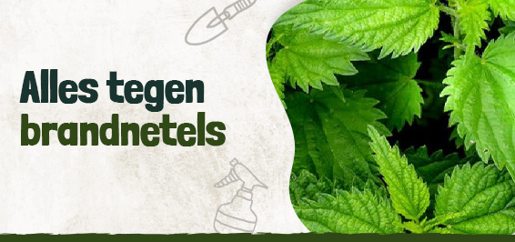 ⋙ Brandnetel bestrijden? | Ruim assortiment | Kabelshop.nl